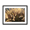 I Sing the Grasses Electric 5 Framed & Mounted Print