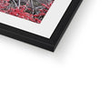 Winter Berries 2 - Asheville Framed & Mounted Print