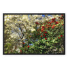 Red Camellias in a Tree of White Blossoms 1 Framed Canvas