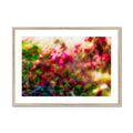 Pretty in Pink 21 - San Marcos CA Framed & Mounted Print
