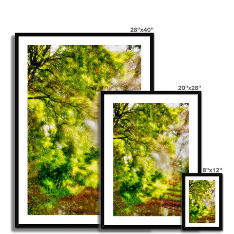 Sonoma Spring Forest Vinyard Framed & Mounted Print