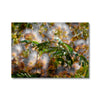 Golden Mimosa Tree Canvas