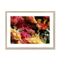 Flower Cups 4 Mission Viejo Framed & Mounted Print