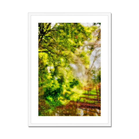 Sonoma Spring Forest Vinyard Framed & Mounted Print