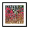 Winter Berries 3 - Asheville Framed & Mounted Print