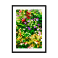 The Gardens of Giverny Framed & Mounted Print