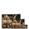 I Sing the Grasses Electric 6 Framed Canvas