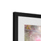 Pretty in Pink 20 - San Marcos, CA Framed & Mounted Print