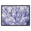 Portrait of a Tree Framed Canvas