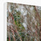 Coral Bark Trees 7 Savannah Winter 2015 Canvas