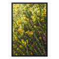 Weeds 9 Framed Canvas