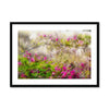 Pretty in Pink  2  - San Marcos, CA Framed & Mounted Print