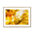The Radiance that was John III Framed & Mounted Print