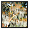 Live Oaks in the Garden of Good and Evil Framed Canvas