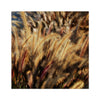 I Sing the Grasses Electric 9 Hahnemuhle Photo Rag Print
