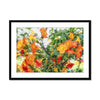 The Colors of Laguna Hills 1 Framed & Mounted Print