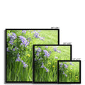 Purple Flowers in a Field of Green and Yellow  - Grant Park Chicago Framed Print