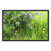 Purple Flowers in a Field of Green and Yellow  2 - Grant Park Chicago Framed Canvas