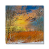 Winter Meadow Canvas