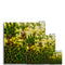 Weeds 11 Hahnemuhle Photo Rag Print