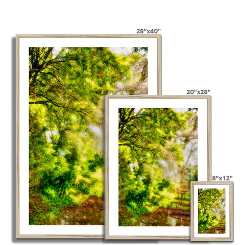 Sonoma Spring Forest Vinyard Framed & Mounted Print