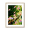 Roses at the River's Edge Framed & Mounted Print
