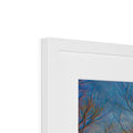 Winter Meadow Framed & Mounted Print