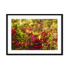 Yellow in the Heart of Red - John I Framed & Mounted Print