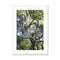 Savannah Live Oaks 2 Framed & Mounted Print
