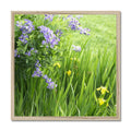 Purple Flowers in a Field of Green and Yellow  - Grant Park Chicago Framed Print