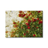 Red Camellias in a Tree of White Blossoms 2 Canvas