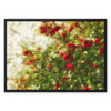 Red Camellias in a Tree of White Blossoms 2 Framed Canvas