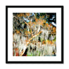 Live Oaks in the Garden of Good and Evil Framed & Mounted Print