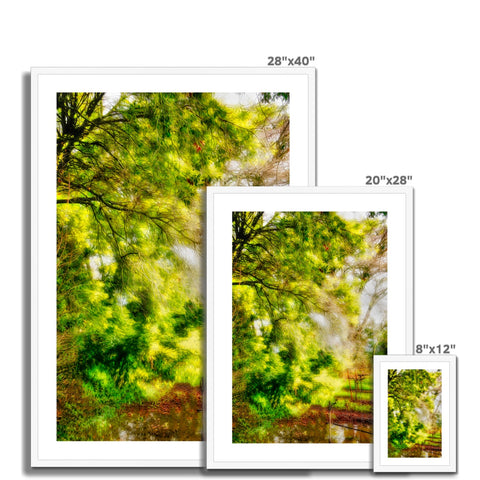 Sonoma Spring Forest Vinyard Framed & Mounted Print