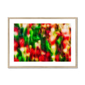 Candle Bloom Flowers 3 Framed & Mounted Print