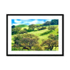 The Trees of Steinbeck Country Framed & Mounted Print