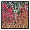 Winter Berries 3 - Asheville Framed Canvas