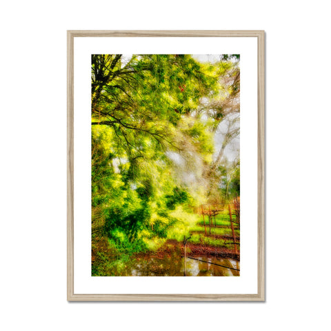 Sonoma Spring Forest Vinyard Framed & Mounted Print