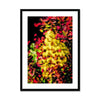 Captive Yellow Framed & Mounted Print
