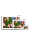 Mimosa Tree 2 Framed & Mounted Print