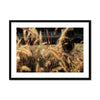 I Sing the Grasses Electric 6 Framed & Mounted Print