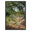 Primordial Forest - Zilker Botanical Garden Austin Framed Canvas