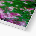 Pretty in Pink 32 Canvas