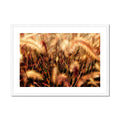 I Sing the Grasses Electric 7 Framed & Mounted Print