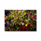 Winter Bouquet - Monterey Bay Canvas