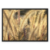 I Sing the Grasses Electric 1 Framed Canvas