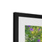 The Fields of the Lord 2 - Rancho Capistrano Framed & Mounted Print