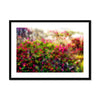 Pretty in Pink 29 Framed & Mounted Print