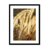 I Sing the Grasses Electric 3 Framed & Mounted Print