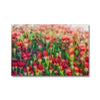 Flower Mounds 2 Canvas